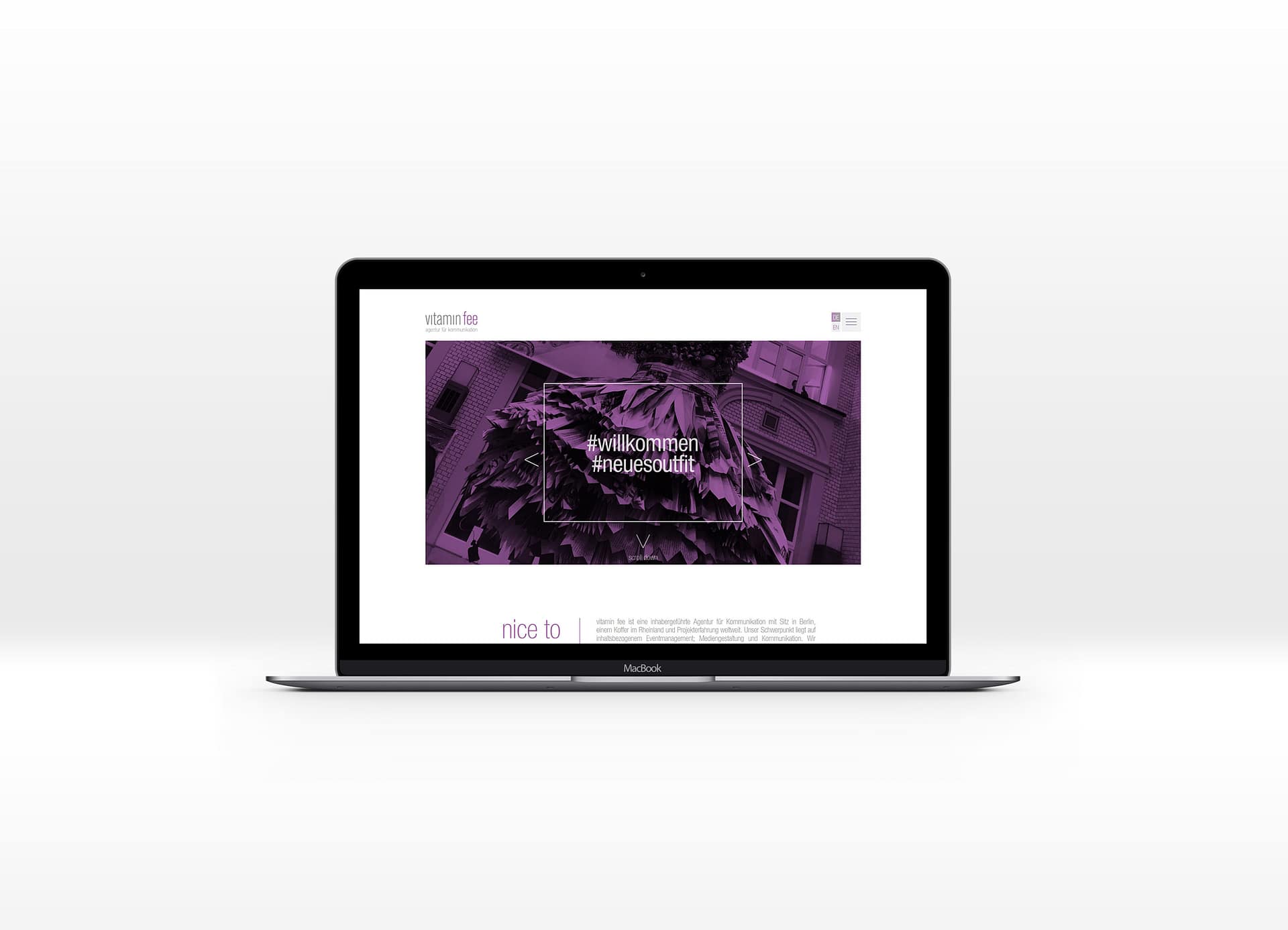 Responsive WordPress-Programmierung für vitamin fee